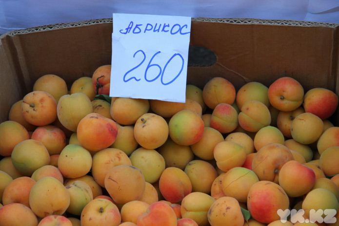 Сколько мы им платим